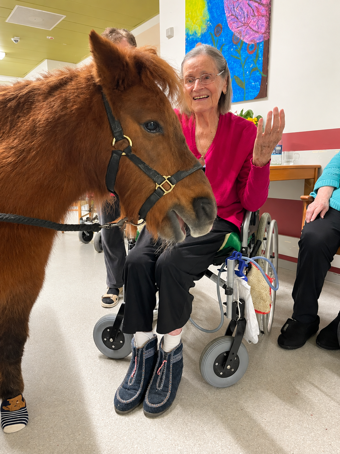 Besuch von unserem Therapiepony